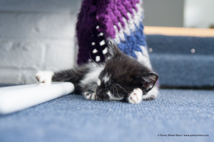 caring for mid-winter blues