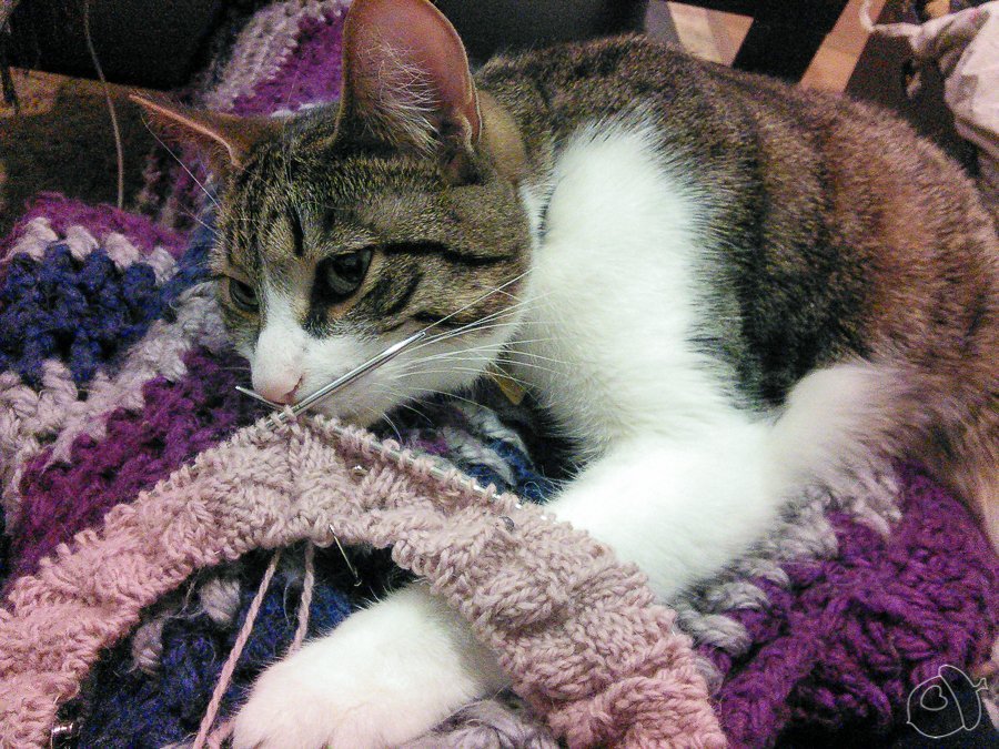 counting in knitting