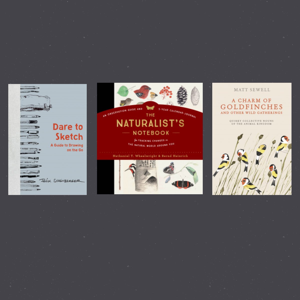 3 books for observation & recording