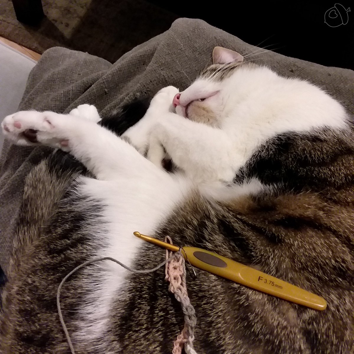 self care & big projects