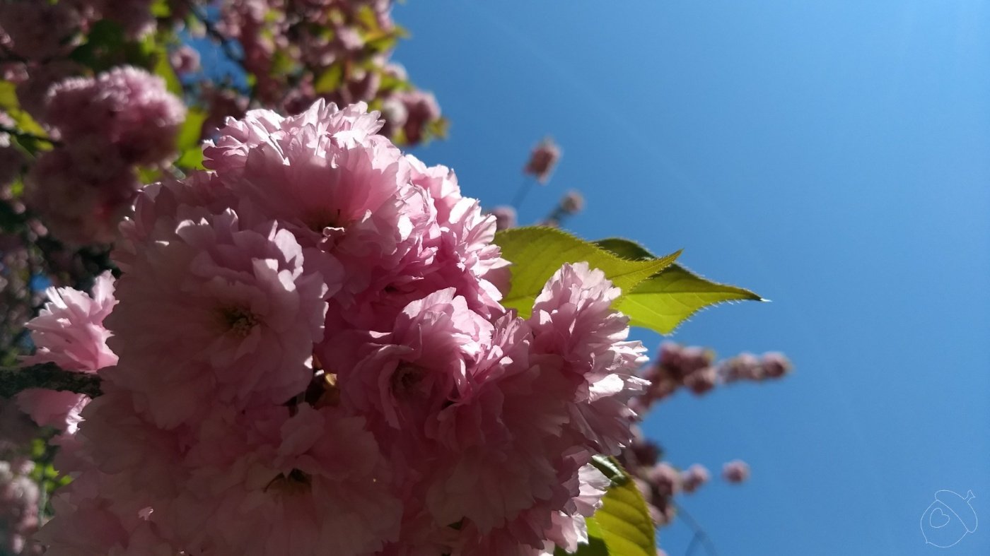 Spring!