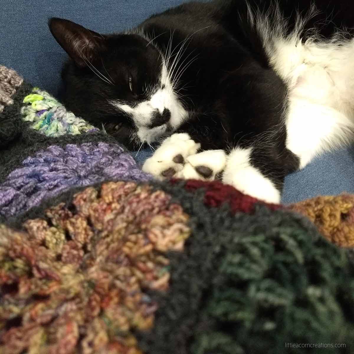 Blanket Thoughts