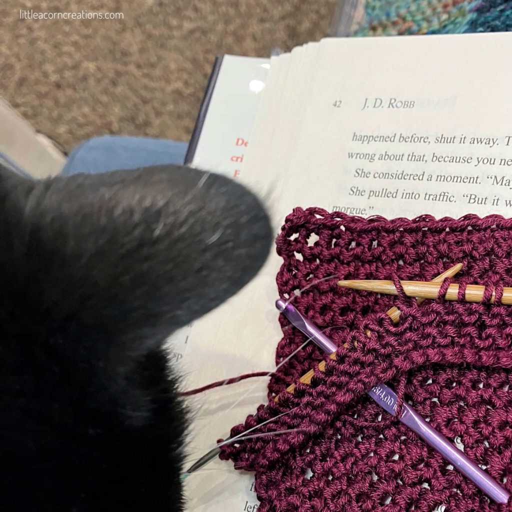tuxedo cat starting at swatches in progress laid flat on a book