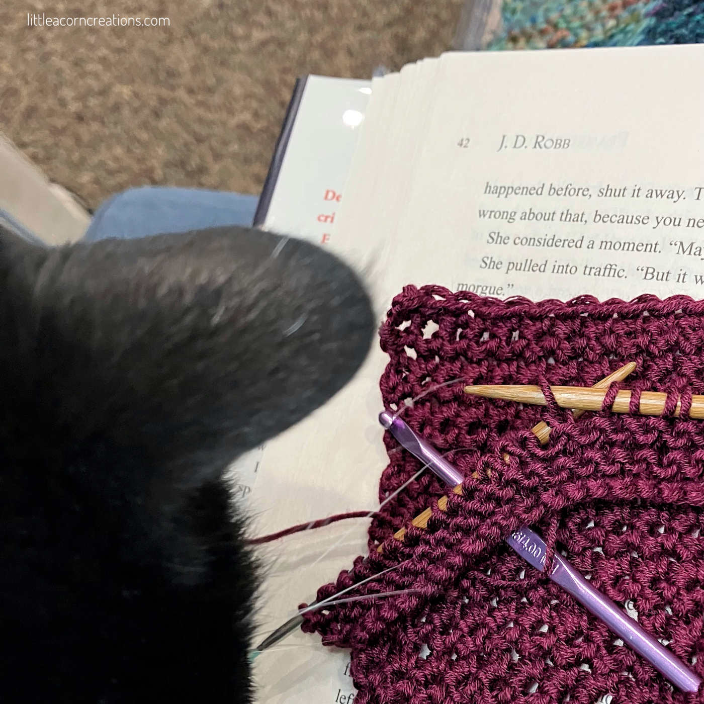 tuxedo cat starting at swatches in progress laid flat on a book